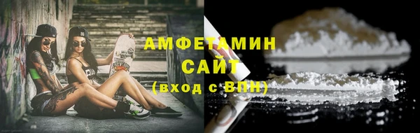 гидра Богородск
